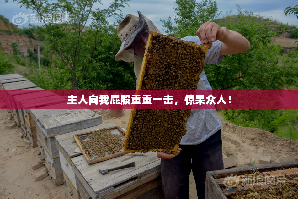 主人向我屁股重重一击，惊呆众人！