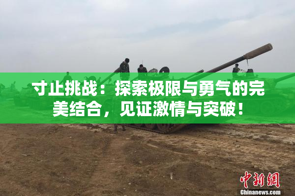 寸止挑战：探索极限与勇气的完美结合，见证激情与突破！