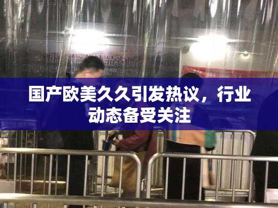 国产欧美久久引发热议，行业动态备受关注