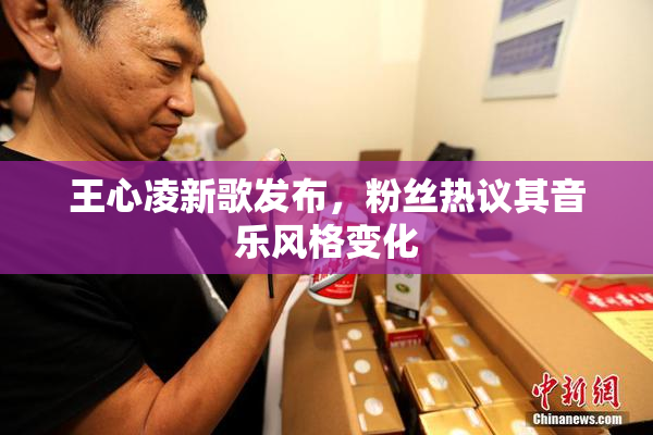 王心凌新歌发布，粉丝热议其音乐风格变化