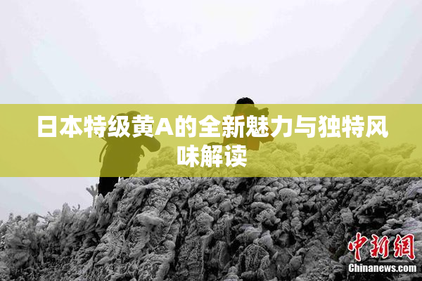 日本特级黄A的全新魅力与独特风味解读