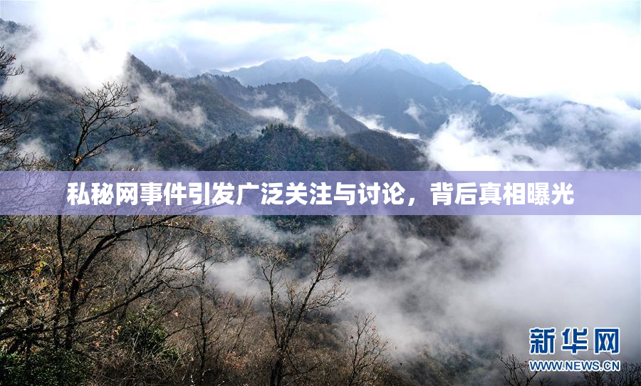 私秘网事件引发广泛关注与讨论，背后真相曝光
