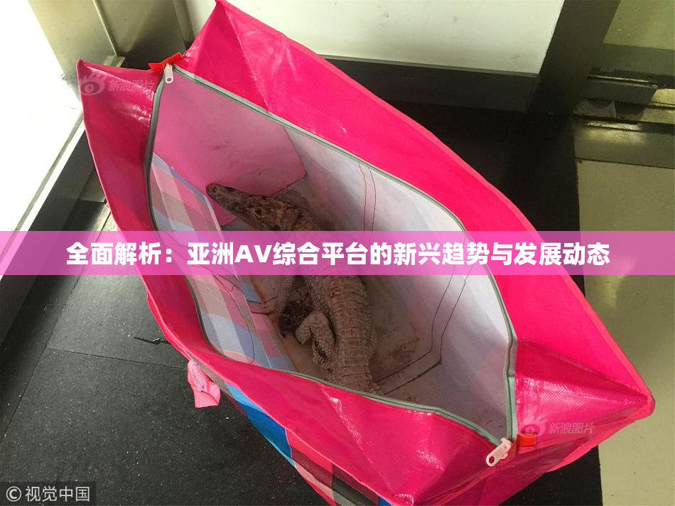 全面解析：亚洲AV综合平台的新兴趋势与发展动态