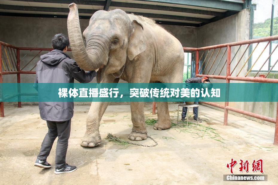 裸体直播盛行，突破传统对美的认知