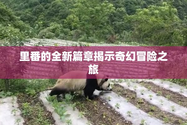 里番的全新篇章揭示奇幻冒险之旅
