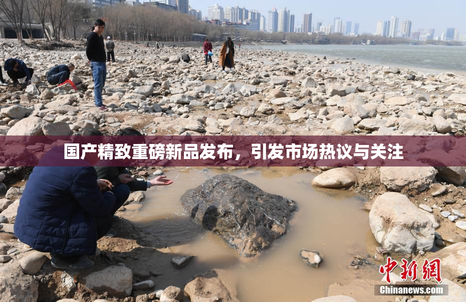 国产精致重磅新品发布，引发市场热议与关注