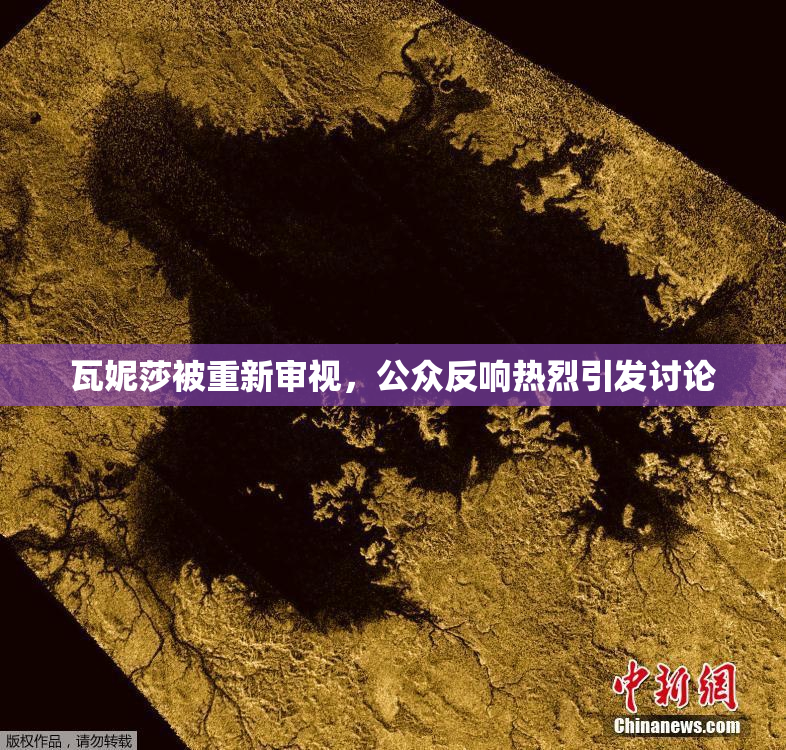 瓦妮莎被重新审视，公众反响热烈引发讨论