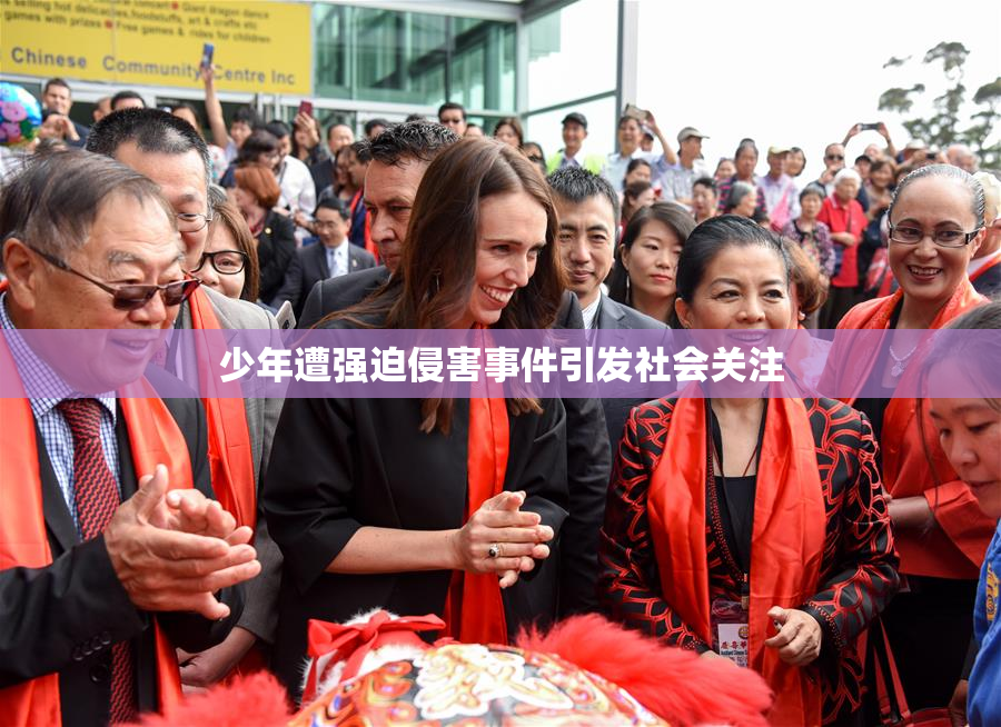少年遭强迫侵害事件引发社会关注