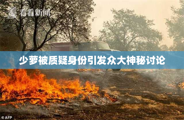少萝被质疑身份引发众大神秘讨论