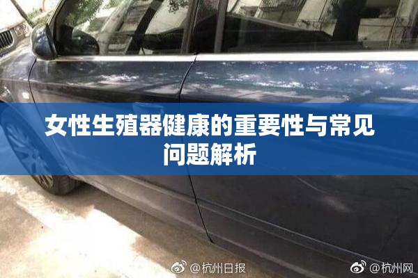 女性生殖器健康的重要性与常见问题解析
