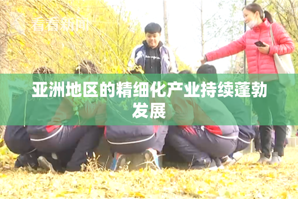 亚洲地区的精细化产业持续蓬勃发展