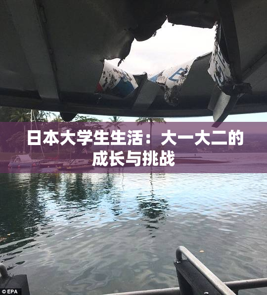 日本大学生生活：大一大二的成长与挑战