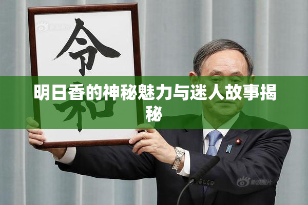 明日香的神秘魅力与迷人故事揭秘