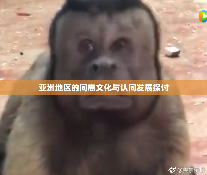 亚洲地区的同志文化与认同发展探讨