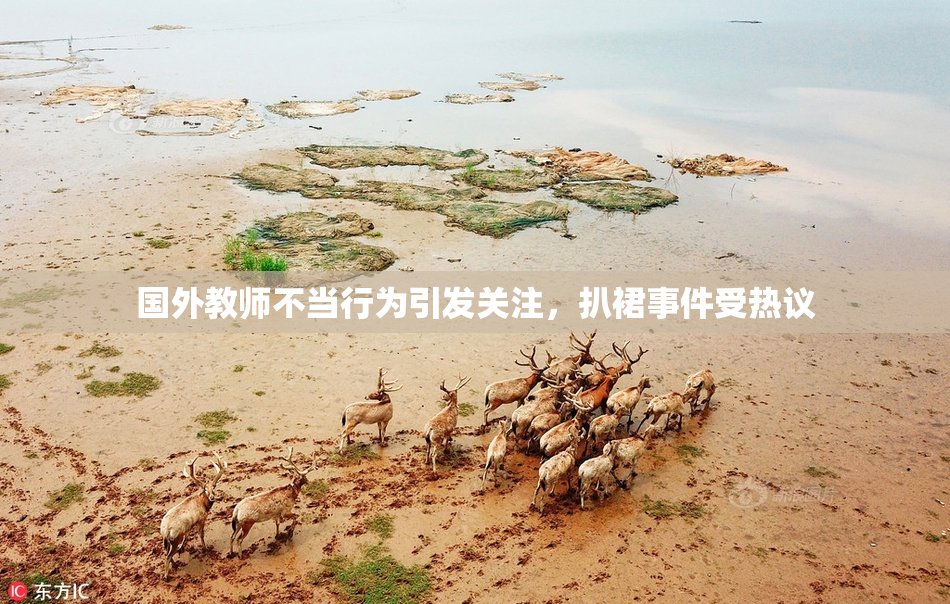 国外教师不当行为引发关注，扒裙事件受热议