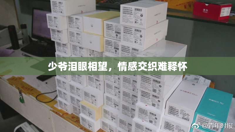 少爷泪眼相望，情感交织难释怀