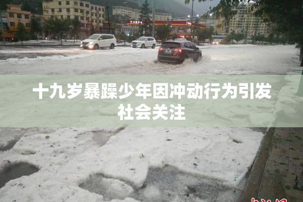 十九岁暴躁少年因冲动行为引发社会关注
