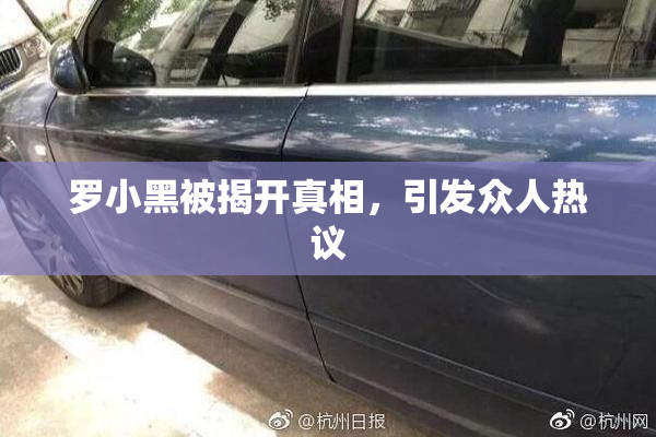 罗小黑被揭开真相，引发众人热议