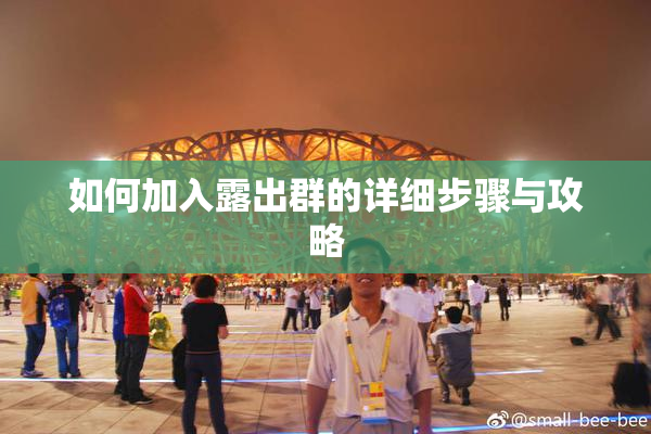 如何加入露出群的详细步骤与攻略