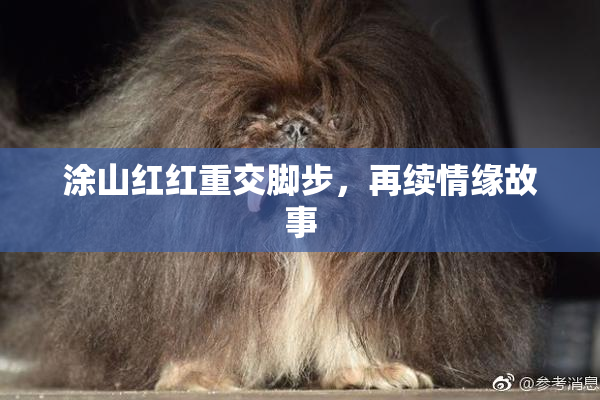 涂山红红重交脚步，再续情缘故事