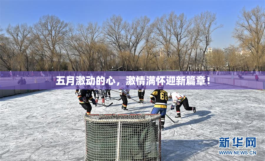 五月激动的心，激情满怀迎新篇章！