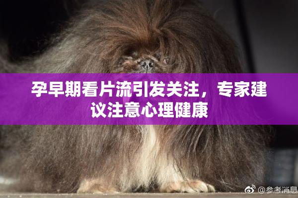 孕早期看片流引发关注，专家建议注意心理健康