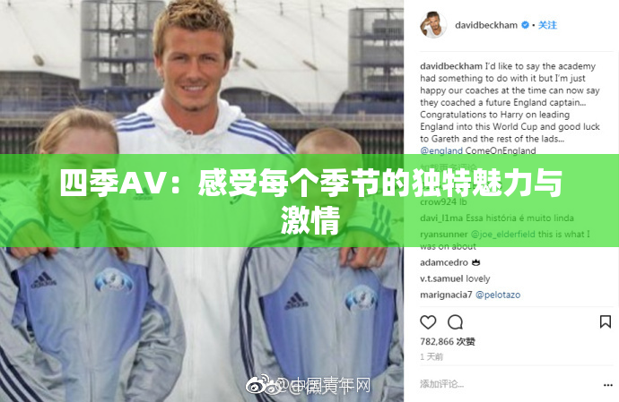 四季AV：感受每个季节的独特魅力与激情