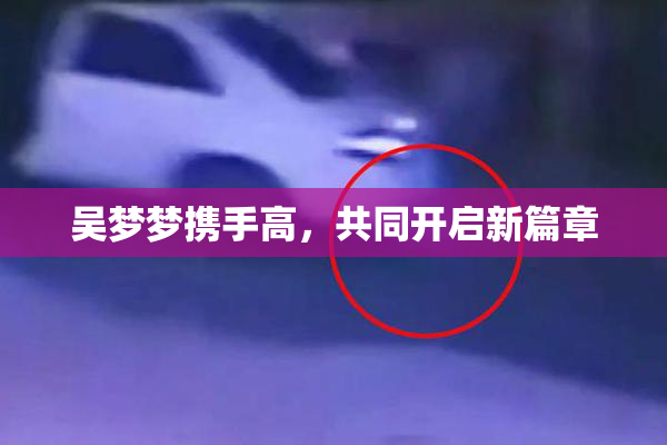 吴梦梦携手高，共同开启新篇章