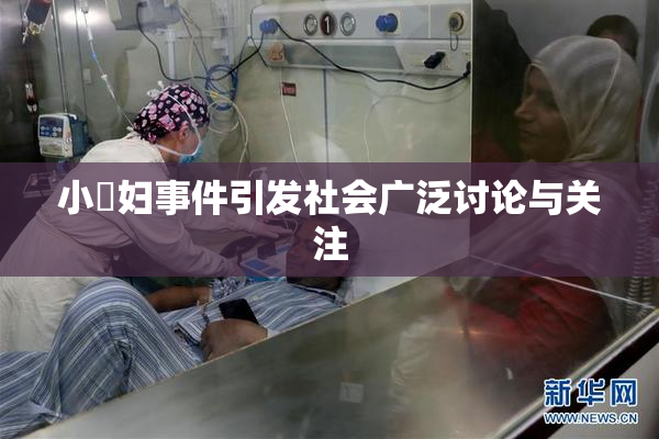 小婬妇事件引发社会广泛讨论与关注