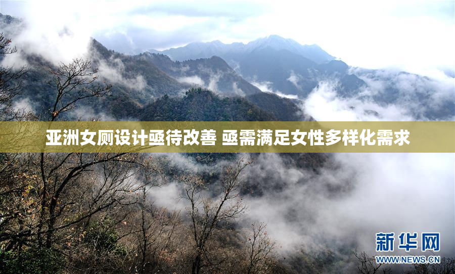 亚洲女厕设计亟待改善 亟需满足女性多样化需求