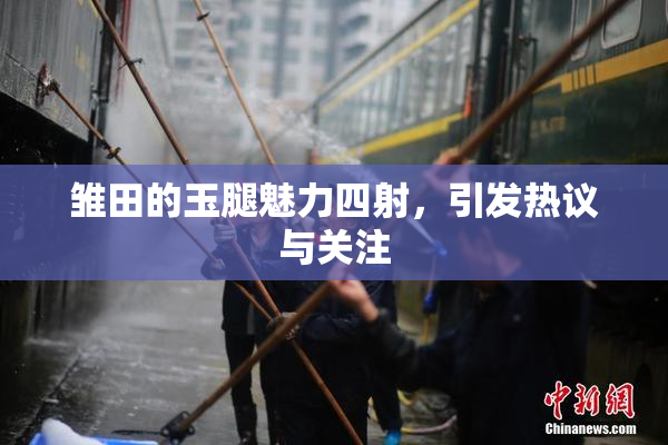 雏田的玉腿魅力四射，引发热议与关注