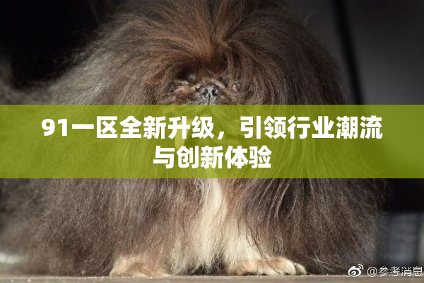 91一区全新升级，引领行业潮流与创新体验
