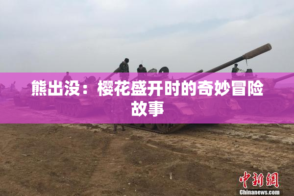 熊出没：樱花盛开时的奇妙冒险故事