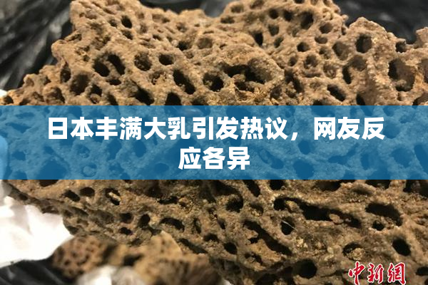 日本丰满大乳引发热议，网友反应各异