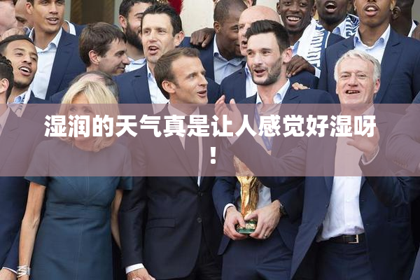 湿润的天气真是让人感觉好湿呀！