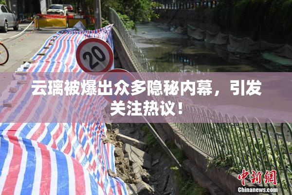 云璃被爆出众多隐秘内幕，引发关注热议！