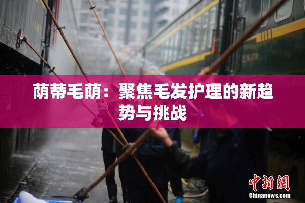 荫蒂毛荫：聚焦毛发护理的新趋势与挑战