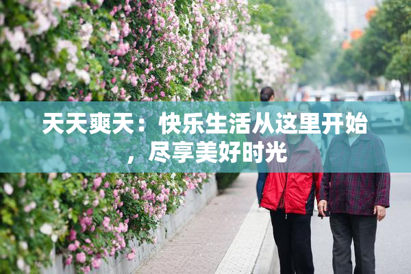 天天爽天：快乐生活从这里开始，尽享美好时光