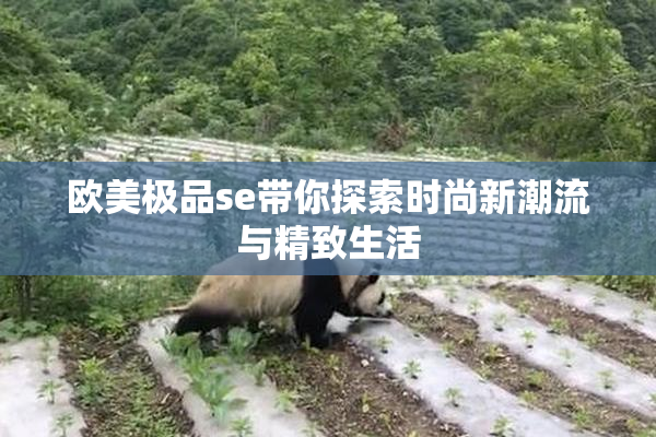 欧美极品se带你探索时尚新潮流与精致生活