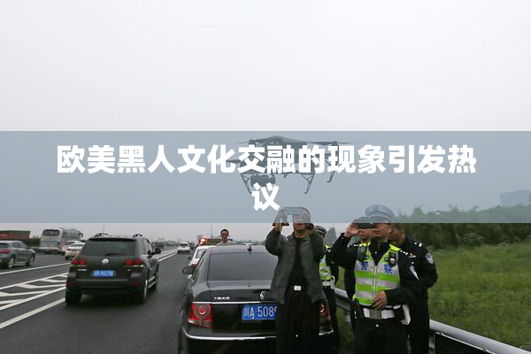 欧美黑人文化交融的现象引发热议