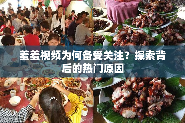 羞羞视频为何备受关注？探索背后的热门原因