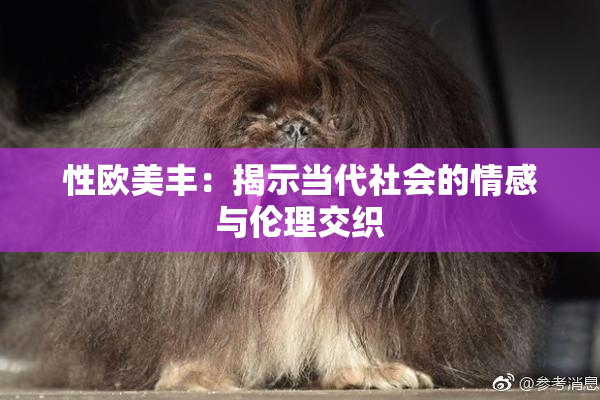 性欧美丰：揭示当代社会的情感与伦理交织