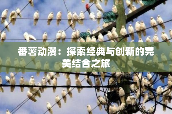 番薯动漫：探索经典与创新的完美结合之旅