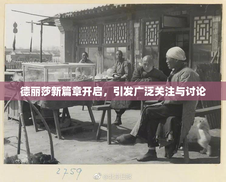 德丽莎新篇章开启，引发广泛关注与讨论