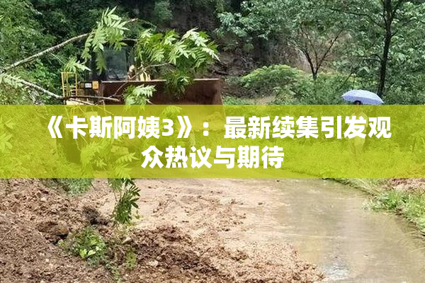 《卡斯阿姨3》：最新续集引发观众热议与期待