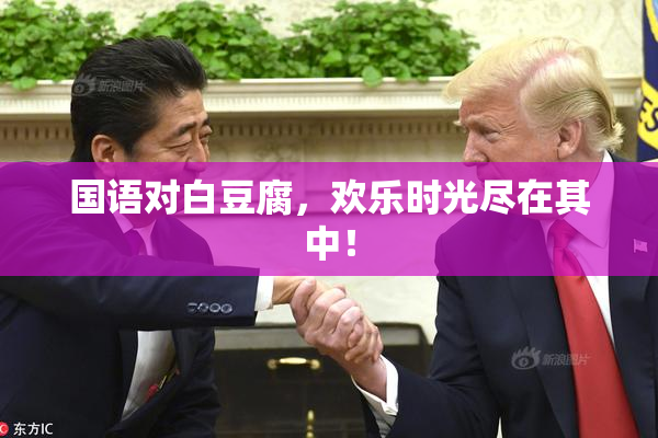 国语对白豆腐，欢乐时光尽在其中！