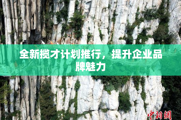 全新揽才计划推行，提升企业品牌魅力