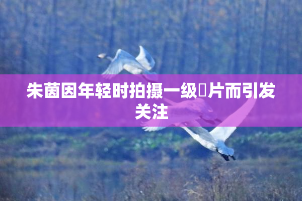 朱茵因年轻时拍摄一级婬片而引发关注