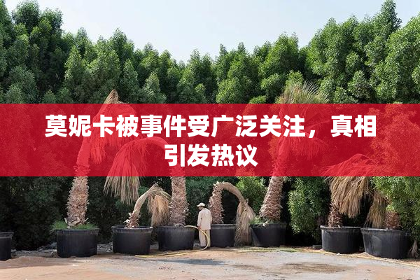 莫妮卡被事件受广泛关注，真相引发热议