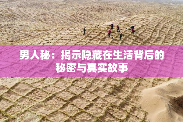 男人秘：揭示隐藏在生活背后的秘密与真实故事